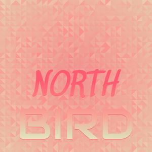 North Bird