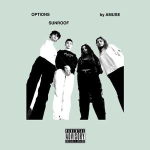 OPTIONS / SUNROOF (Explicit)
