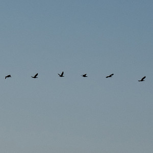 나는 오늘 넘어질래 (Let Me Fall Down)