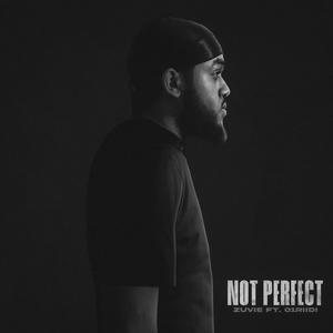 Not Perfect (feat. 01Riidi) [Explicit]