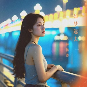 如梦远去