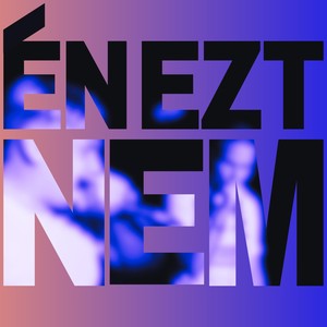 Én ezt nem (Explicit)