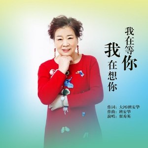 我在等你我在想你 (DJ女声版)封面