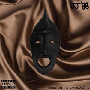 Birds On The Barbed Wire