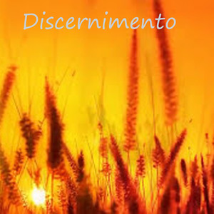 Discernimento