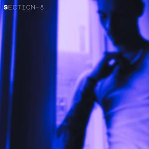 Section8 (Explicit)