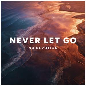 Never Let Go (Extended Mix)