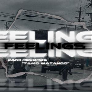 FEELINGS (Explicit)