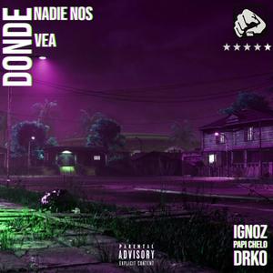 DONDE NADIE NOS VEA (feat. Papichelo & DRKO) [Explicit]