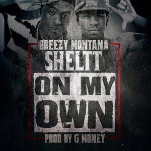 On my own (feat. Sheltt) [Explicit]