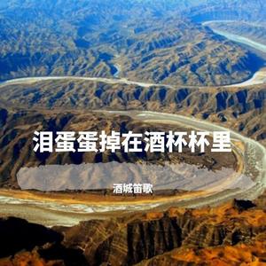 泪蛋蛋掉在酒杯杯里 (竹笛版)