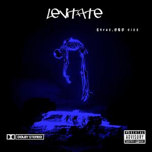 Levitate (feat. Straz & DBD cizz) [sped up] [Explicit]