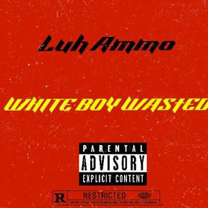 White Boy Wasted (Explicit)