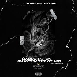 Snake in the grasss (feat. Macco) (Explicit)