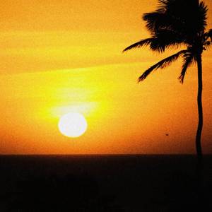 a.o.m.l (Sunset Mix|Explicit)