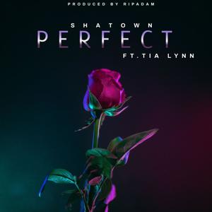 Perfect (feat. Tia Lynn) [Radio Edit]