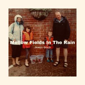 Mellow Fields In The Rain