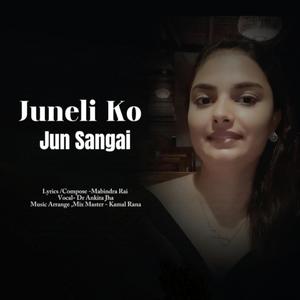 Juneli Ko Jun Sangai Dr Ankita Jha