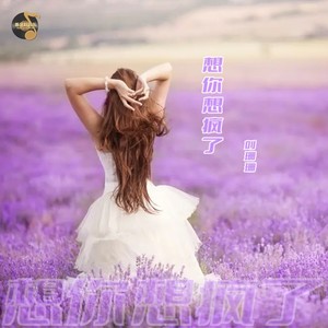 想你想疯了 (Live)