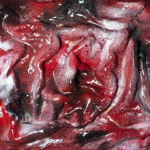 Faucheuse (feat. Bleizh & Kiware) (Explicit)