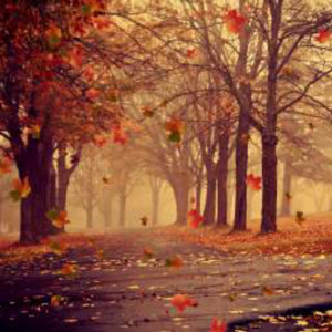 冬日的忧伤 (Live)