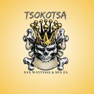 Tsokotsa