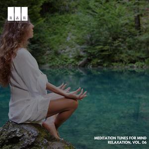Meditation Tunes for Mind Relaxation, Vol. 06