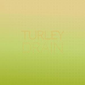 Turley Drain