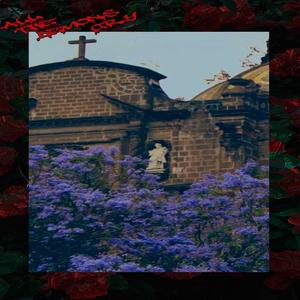 Sick Love(feat. Lildollaboy) (Explicit)