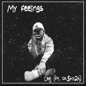 My feelings (feat. ca$hy2k)