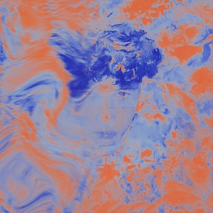 铃兰花 Lily Of The Valley