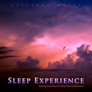 Music For Sleep