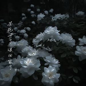茶花开了，该回家了