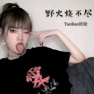 野火烧不尽 (DJ版)