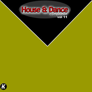 House & Dance Compilation, Vol. 11