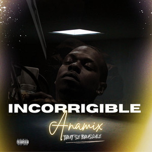 Incorrigible (Explicit)