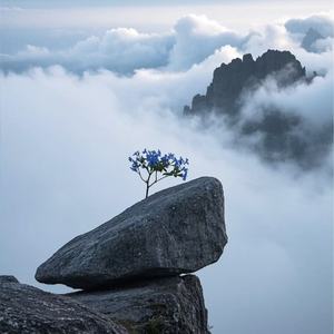 忘记一个人需要多久