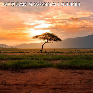 African Savannah Sound (feat. Atmosphere Soundscapes, Discovery Africa Sounds, Discovery Nature Sound & Soothing Nature Sounds)