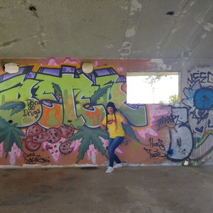 I.M.D.(Implantando mi Dominio) (Explicit)