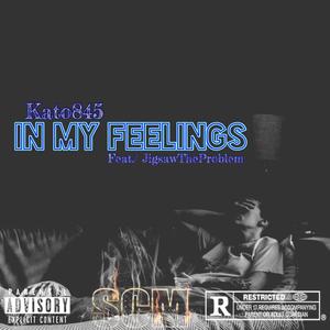 In My Feelings (feat. JigsawTheProblem) [Explicit]