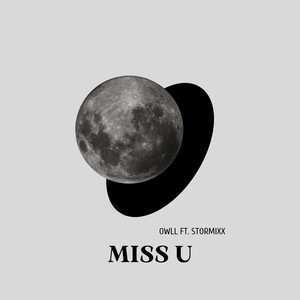 Miss U (feat.stormixx)