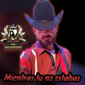 Mientras tu no estabas