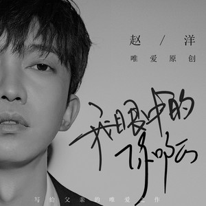 我眼中的你啊