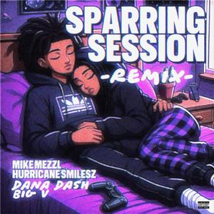 Sparring Sessionn (feat. Hurricane Smilesz, Dana Dash & Big V) (Remix|Explicit)