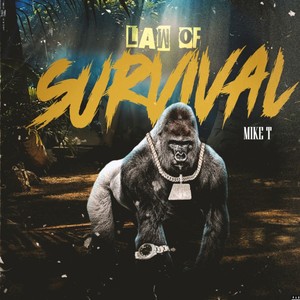 Law of Survival (Explicit)