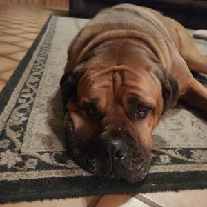 They're Walking in Blindness