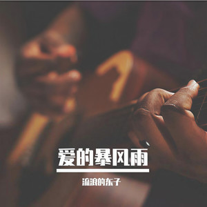 爱的暴风雨 (33秒片段)