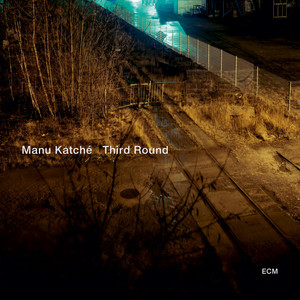 Manu Katche - Flower Skin