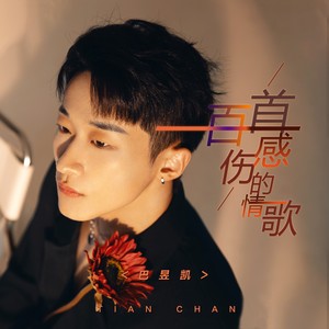 一百首伤感的情歌 (DJ版)