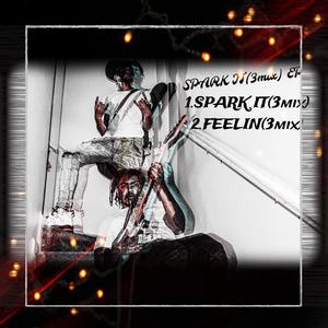 Spark It (3mix) EP [Explicit]